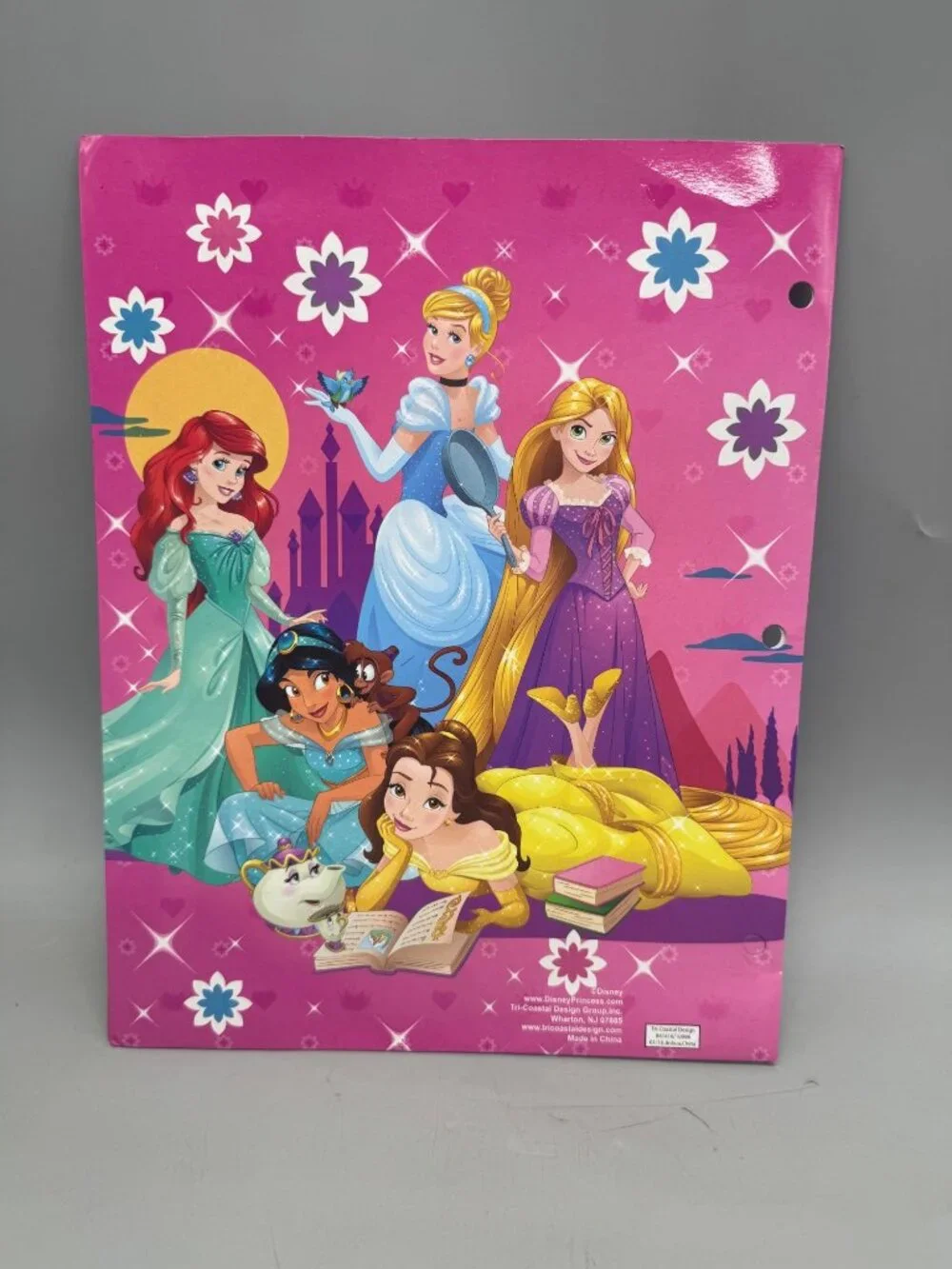 Disney Princess Adventure Begins Here Pink School Folder READ